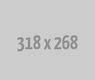 Custom Software for Every Business Need